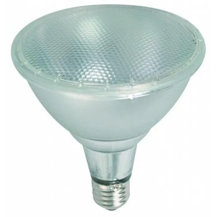 21754 15W PAR 38 LED Bulb