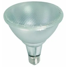 21754 15W PAR 38 LED Bulb