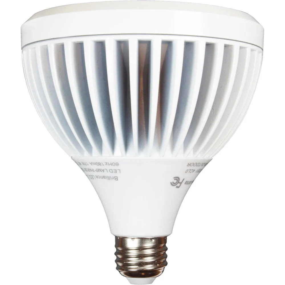 Brilliance LED PAR38 Lamp