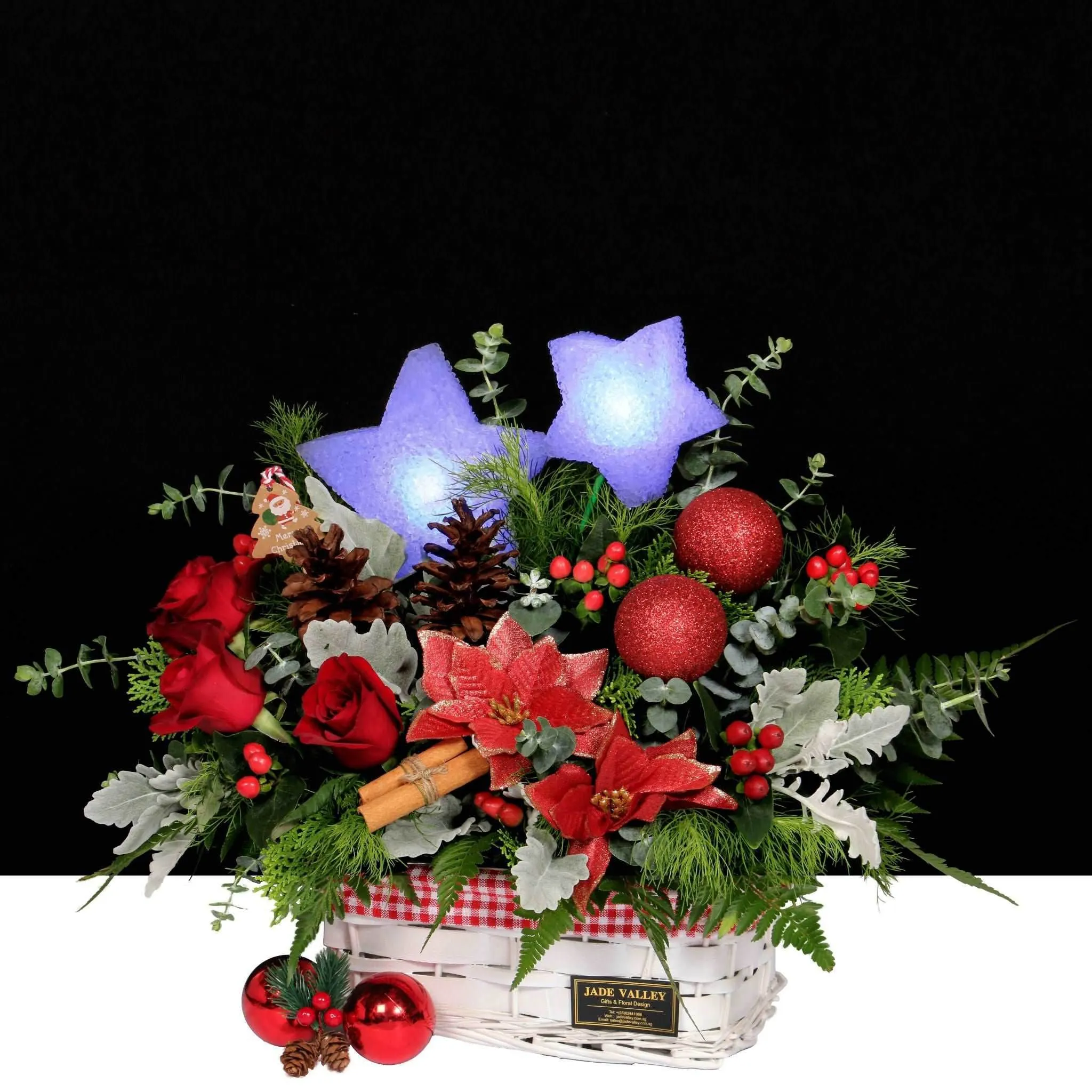 Christmas Flowers | MF194