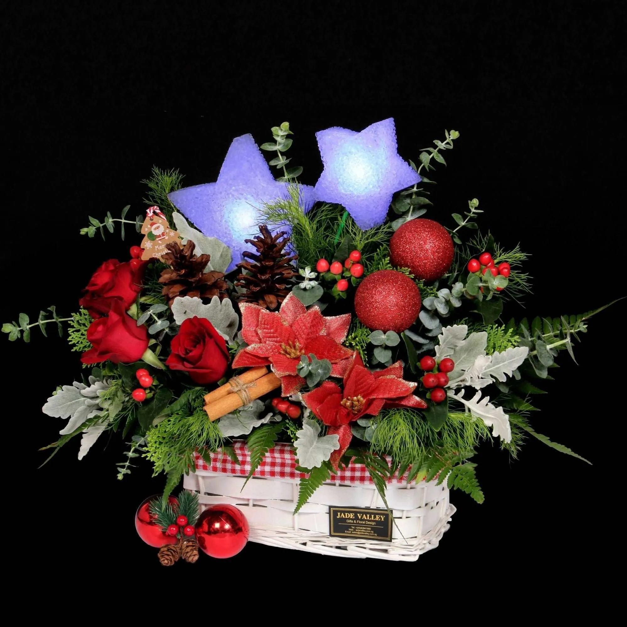 Christmas Flowers | MF194