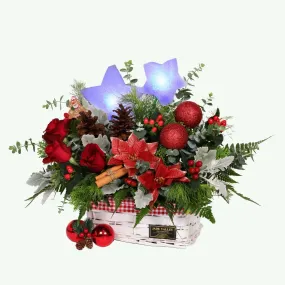 Christmas Flowers | MF194