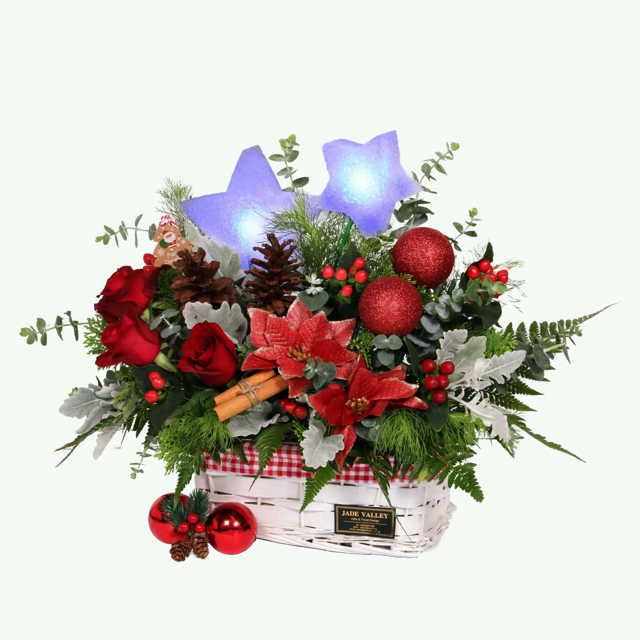 Christmas Flowers | MF194