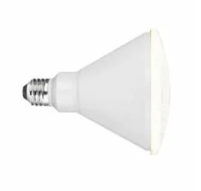 Cool White LED Flood Light