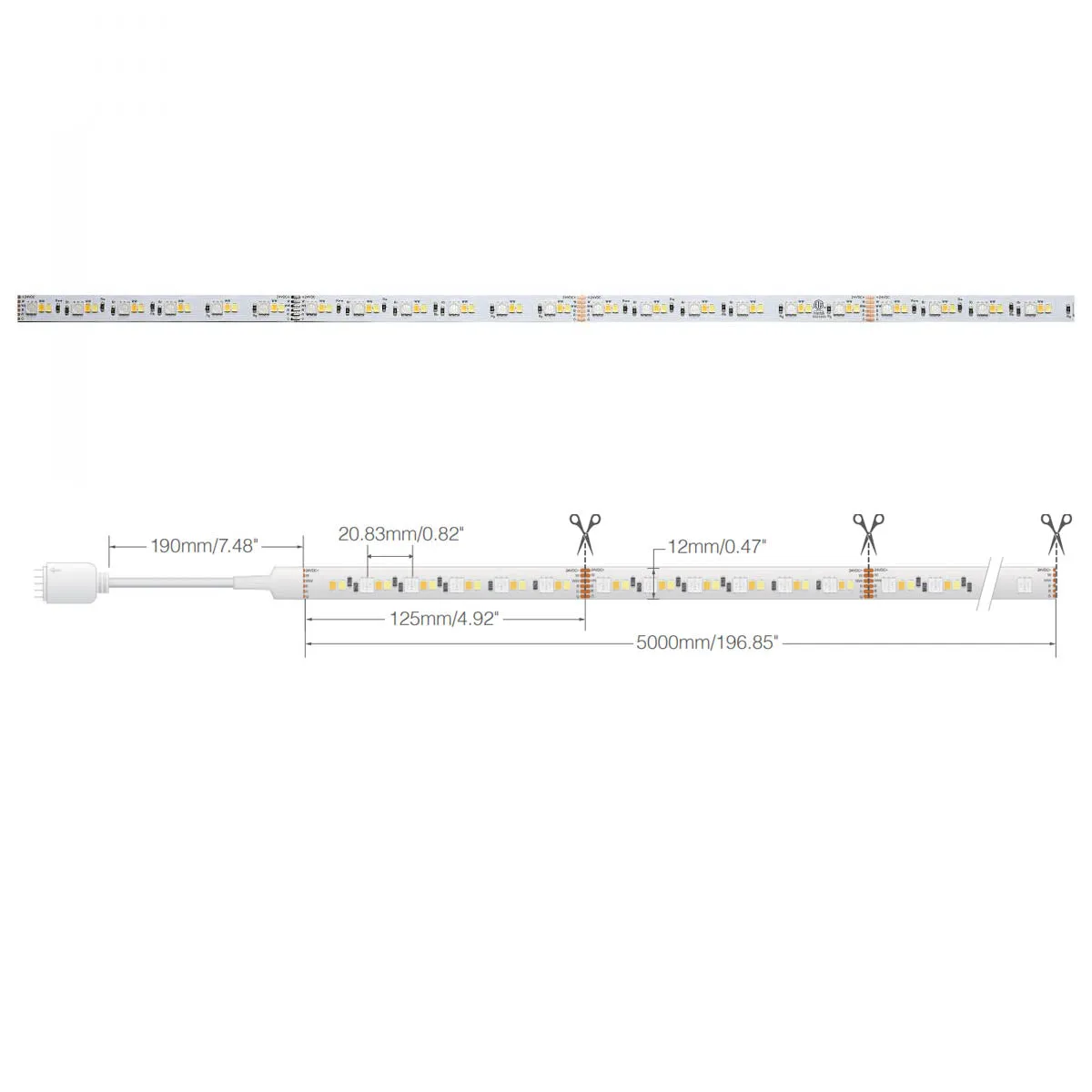 Dimension Pro LED Smart Tape Light Kit with Remote, 16ft Reel, Color Changing RGB and Tunable White, 24V, J-Box Connection