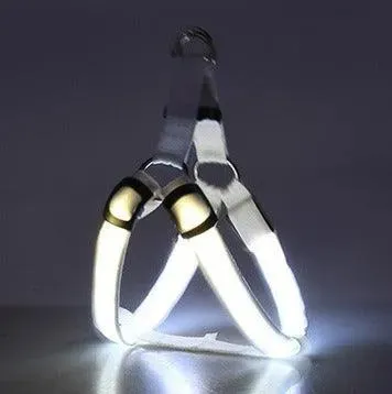 LED Luminescent Dog Chest Strap