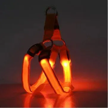 LED Luminescent Dog Chest Strap