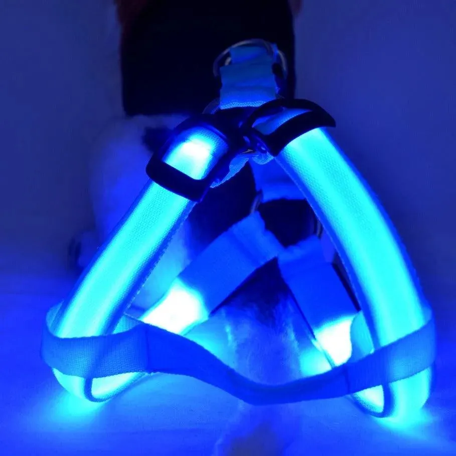 LED Luminescent Dog Chest Strap