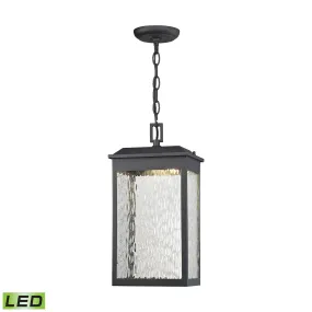 LED Outdoor Pendant from the Newcastle Collection in Textured Matte Black Finish by ELK Home