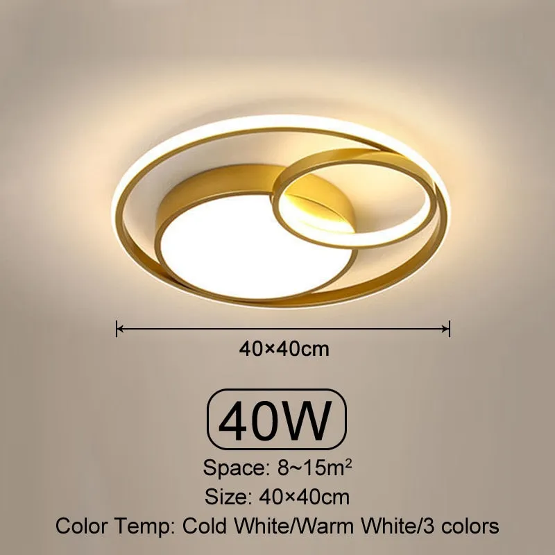 Modern LED Ceiling Light Living Room Bedroom Dining Room Ceiling Light Indoor Lighting Dimmable Decorative Home Luminous Lamps