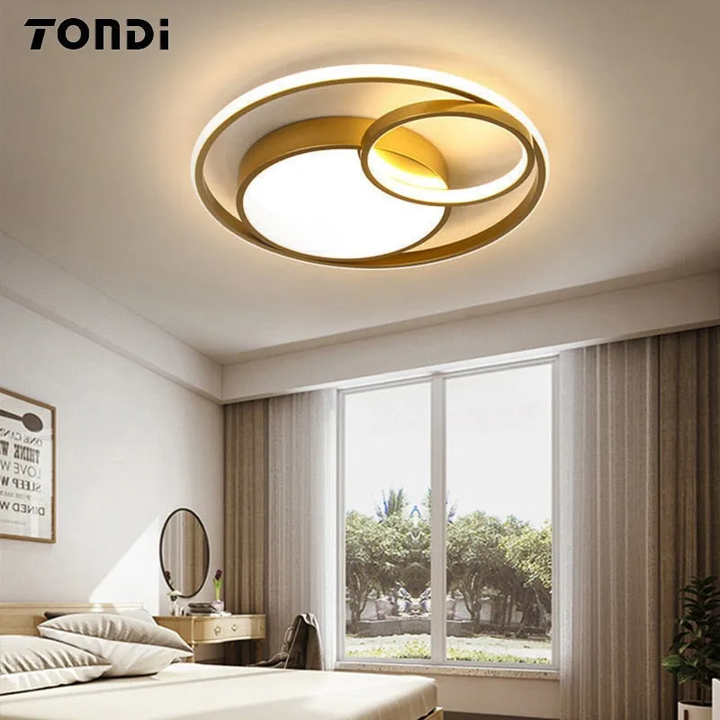 Modern LED Ceiling Light Living Room Bedroom Dining Room Ceiling Light Indoor Lighting Dimmable Decorative Home Luminous Lamps