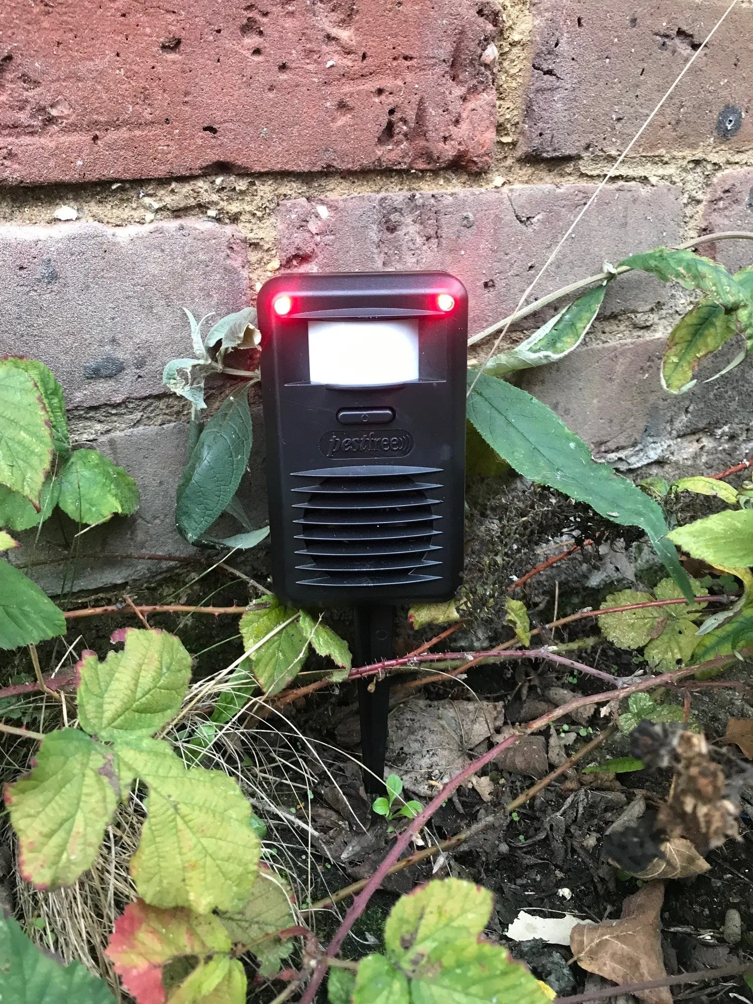 PESTFree  Ultrasonic Pest Deterrent
