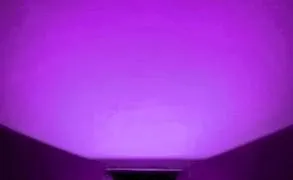 Purple LED Flood Light