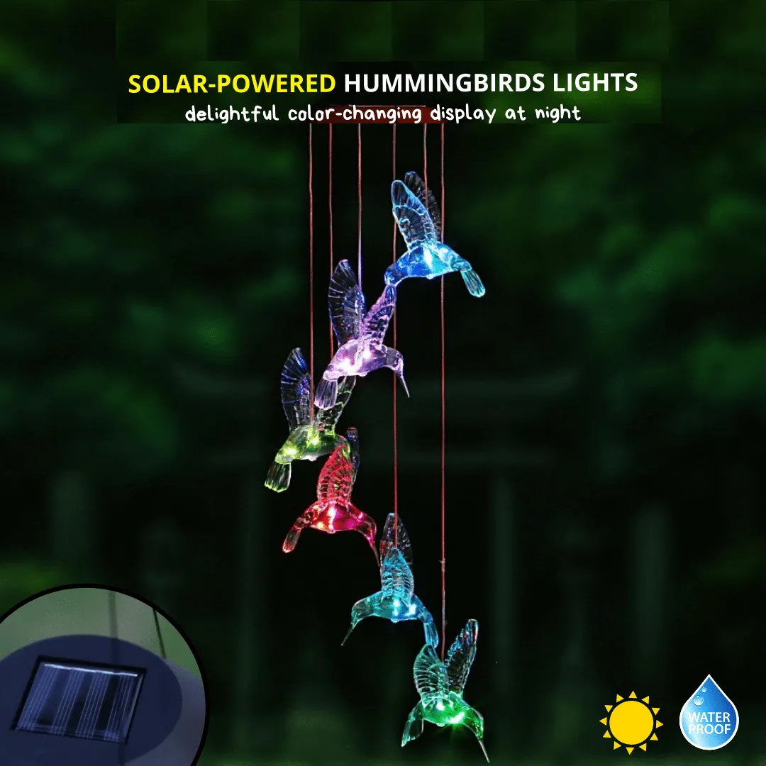 Shine & Shimmer - Hummingbirds LED Light