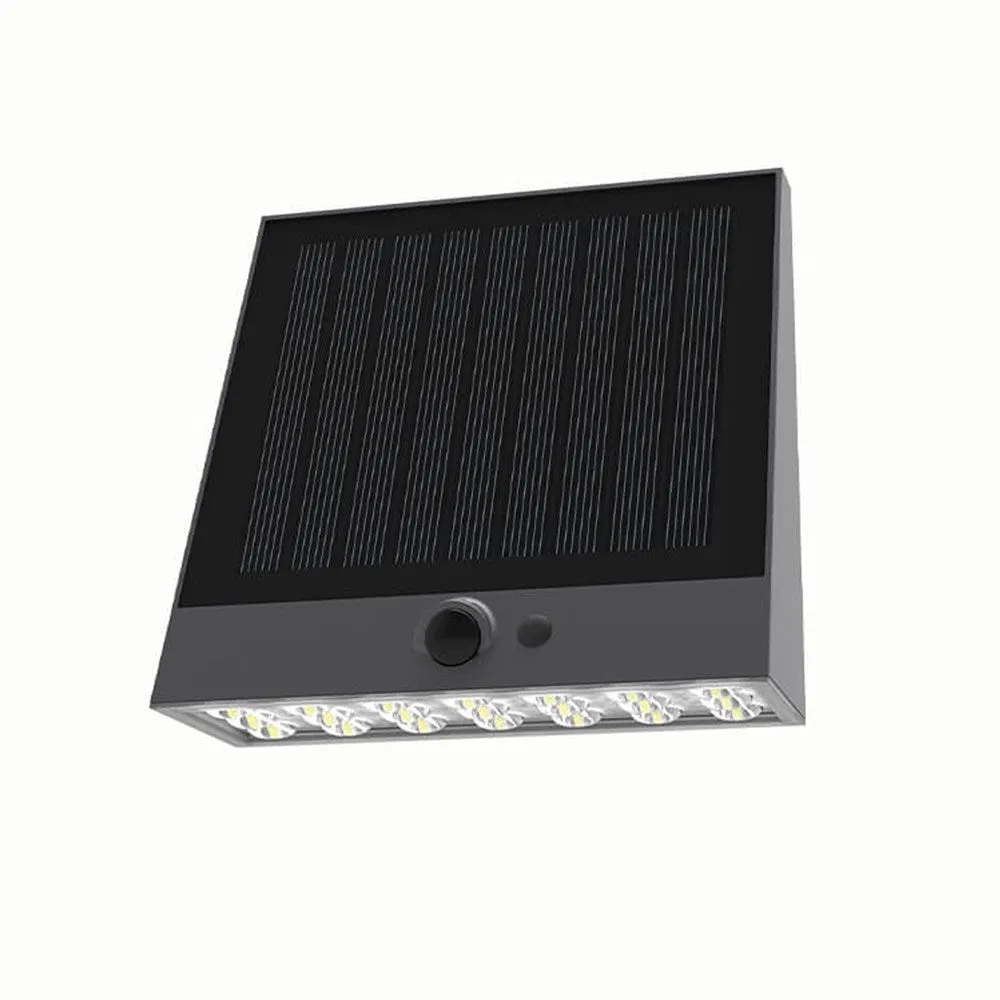 Solar Wall Down Light with Sensor