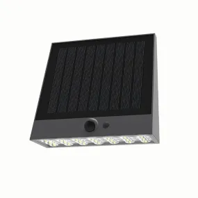 Solar Wall Down Light with Sensor