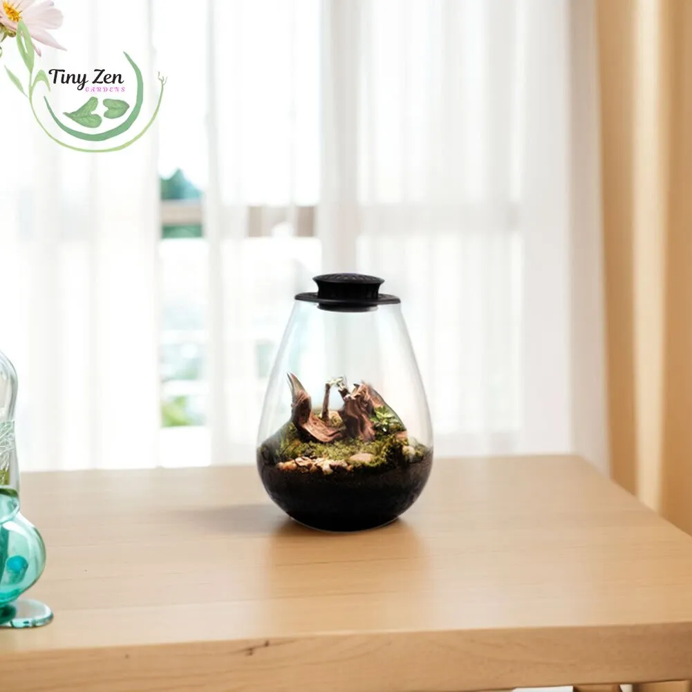 Terrarium with Grow Light Micro-Landscape