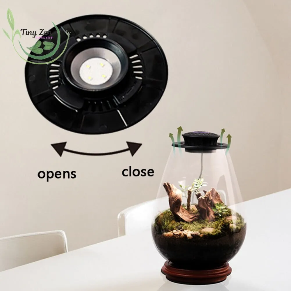 Terrarium with Grow Light Micro-Landscape