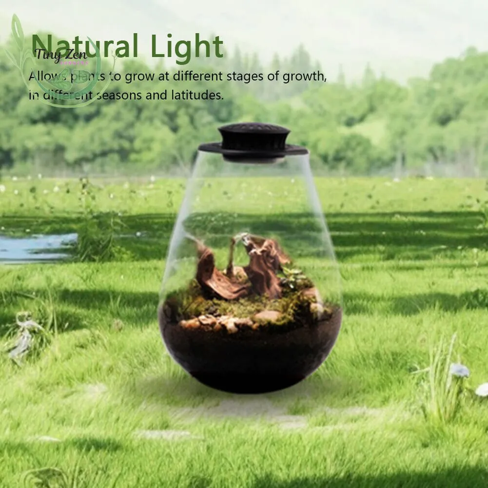 Terrarium with Grow Light Micro-Landscape