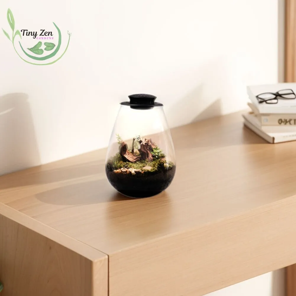 Terrarium with Grow Light Micro-Landscape
