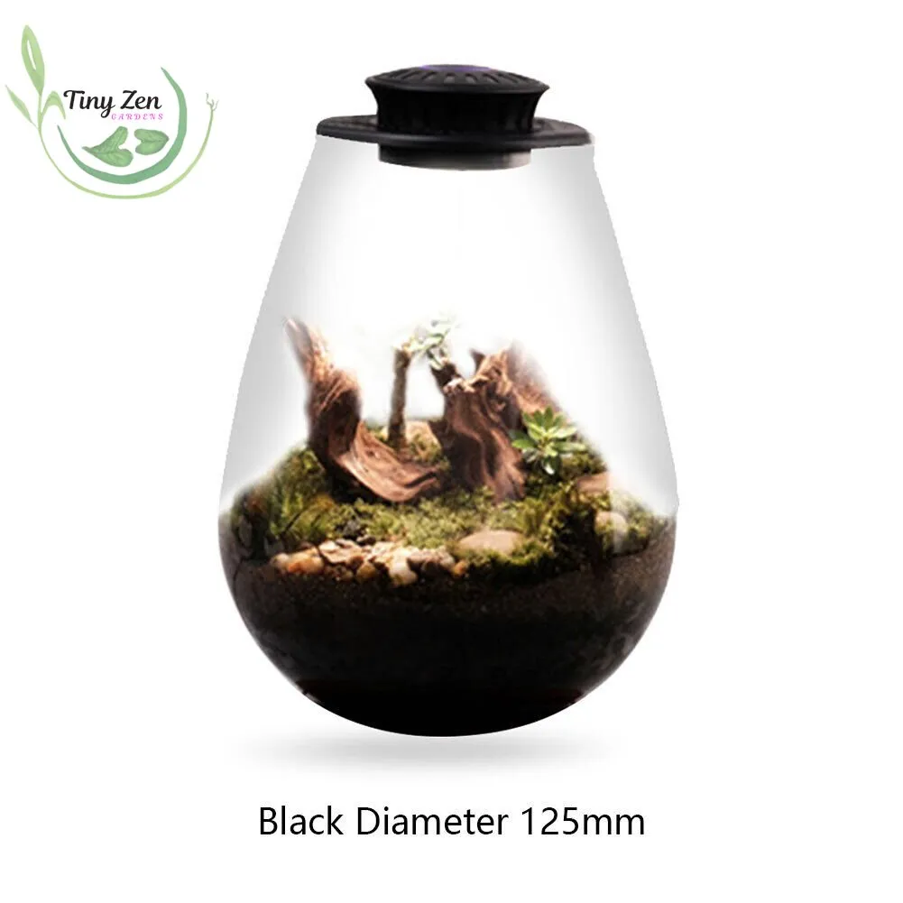 Terrarium with Grow Light Micro-Landscape