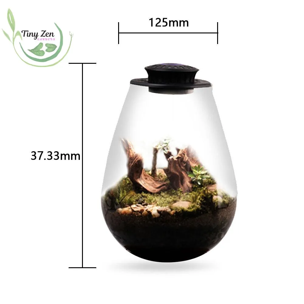 Terrarium with Grow Light Micro-Landscape