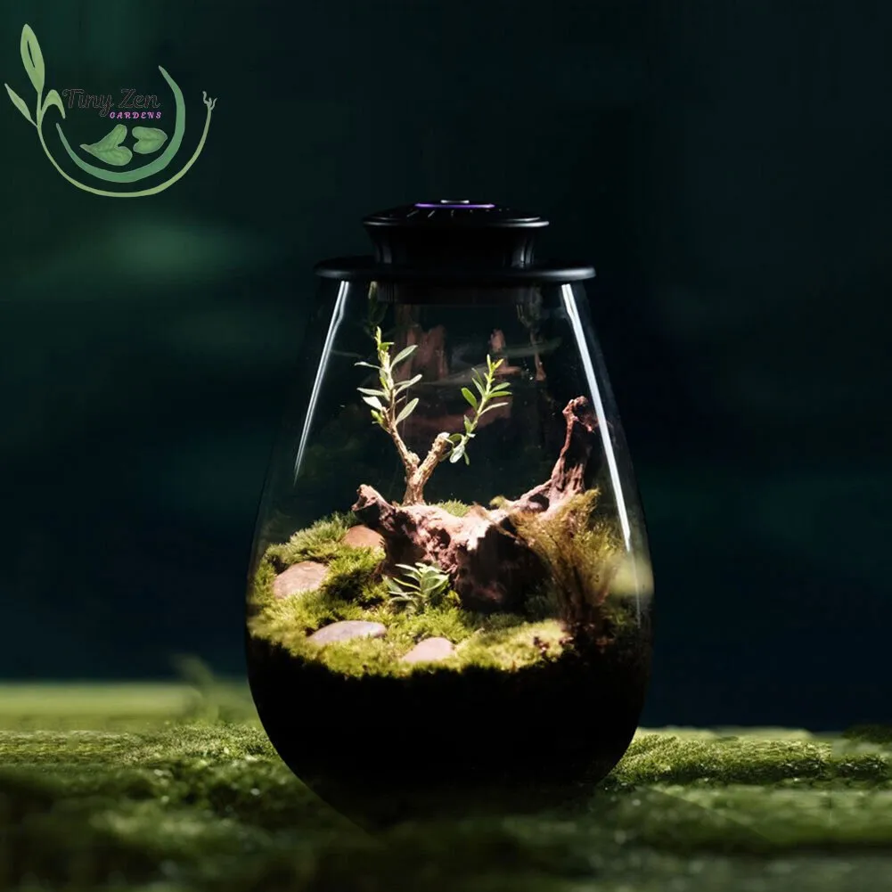 Terrarium with Grow Light Micro-Landscape