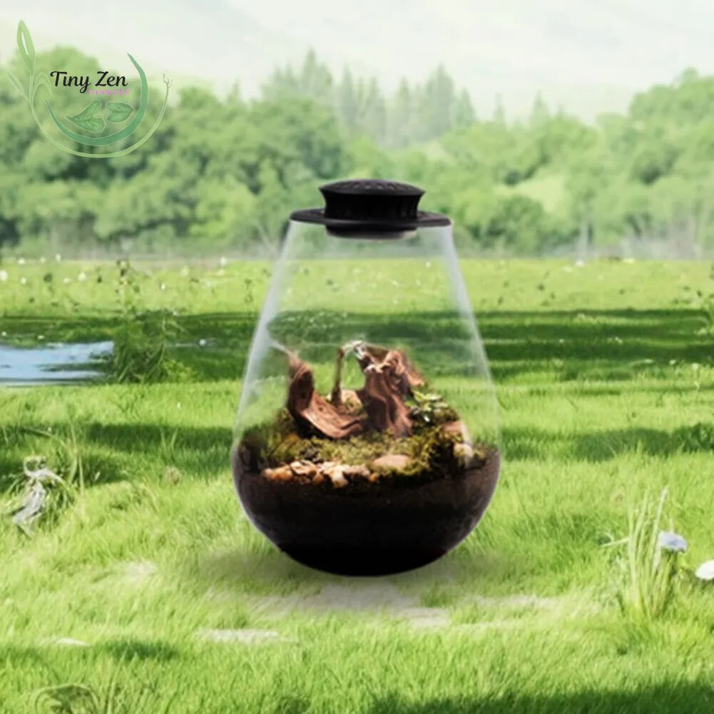 Terrarium with Grow Light Micro-Landscape