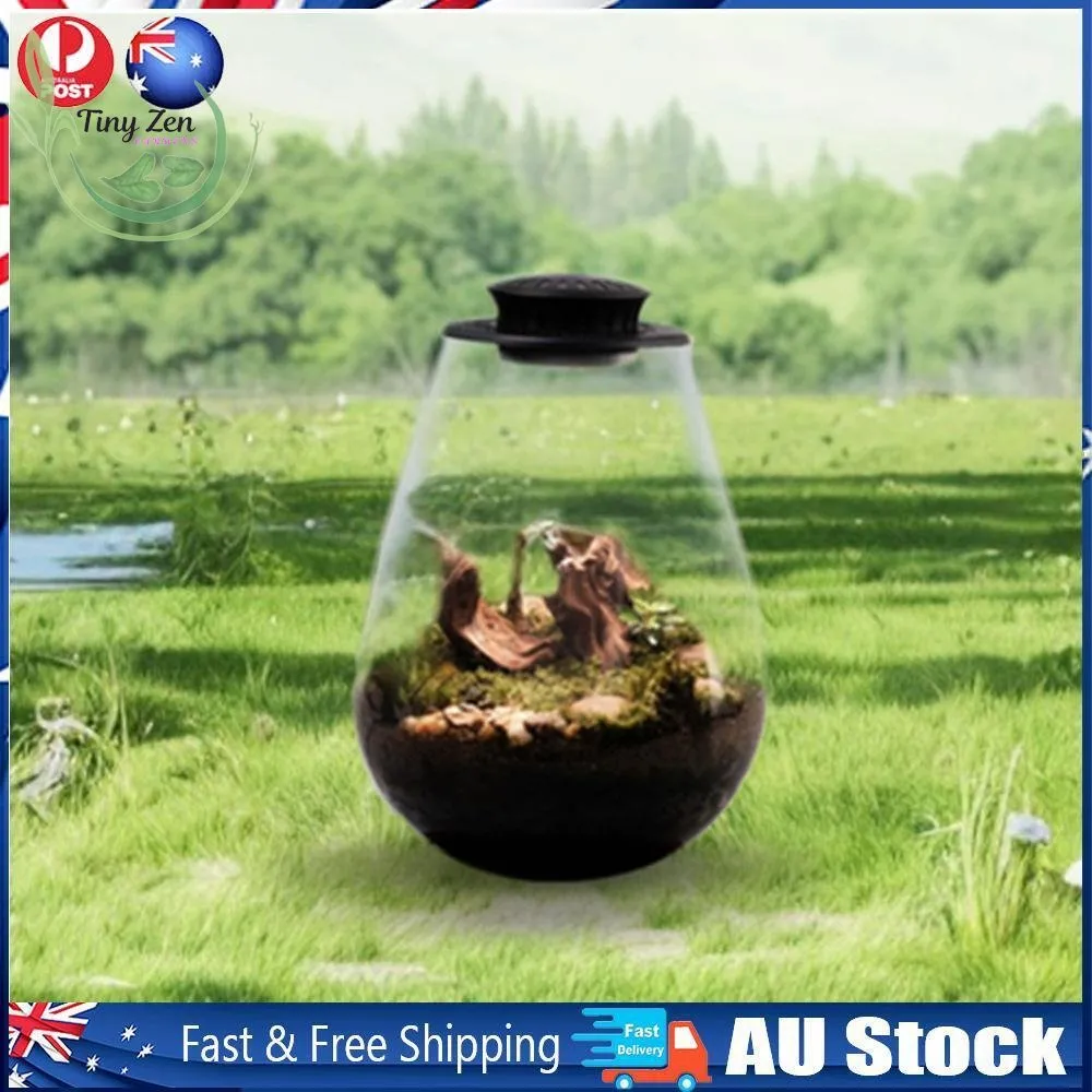 Terrarium with Grow Light Micro-Landscape