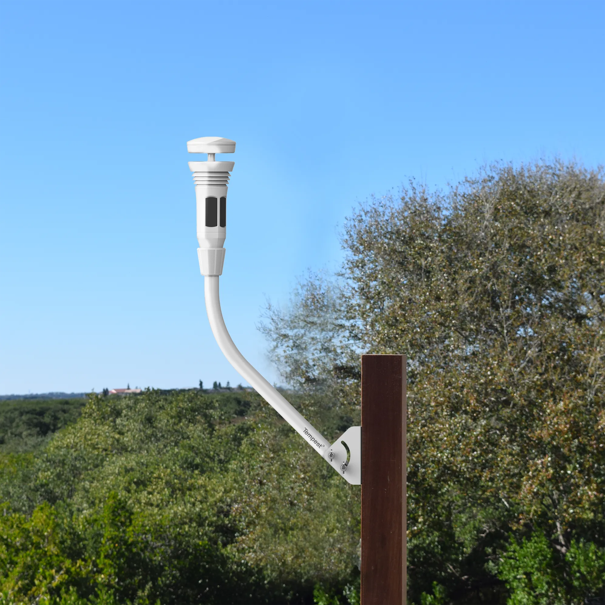 Universal Mount