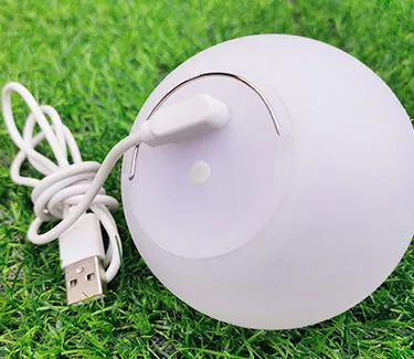 Upgraded 3-inch LED Ball Light (with remote)